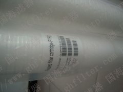 替代MaxGuard大流量過濾芯RFP050-40N ——內(nèi)壓式系列